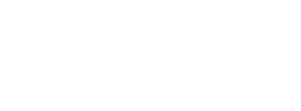 Boston Herald — medio donde nos han destacado